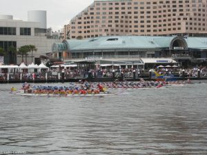 Read more about the article Dragon Boats for Chinese New Year