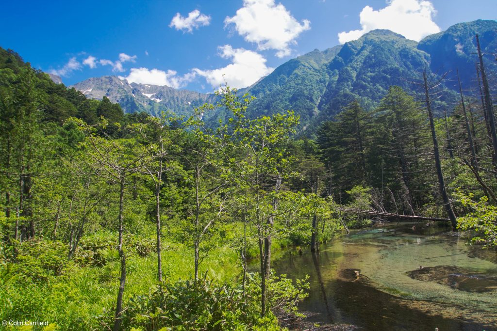 The Alps behind, in Kamikochi