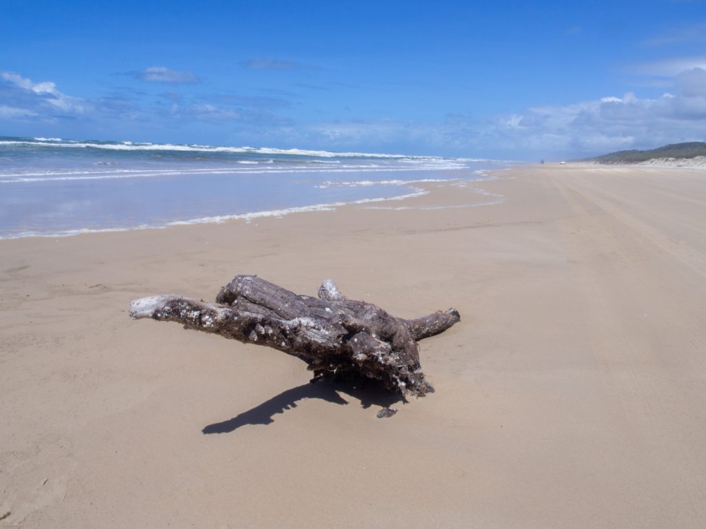 Interesting shapes on the beach