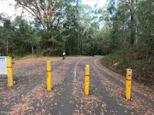 Read more about the article Cruising down the hill to Noosa