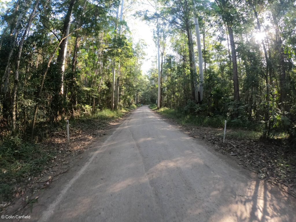 The top was a stunning forrest road