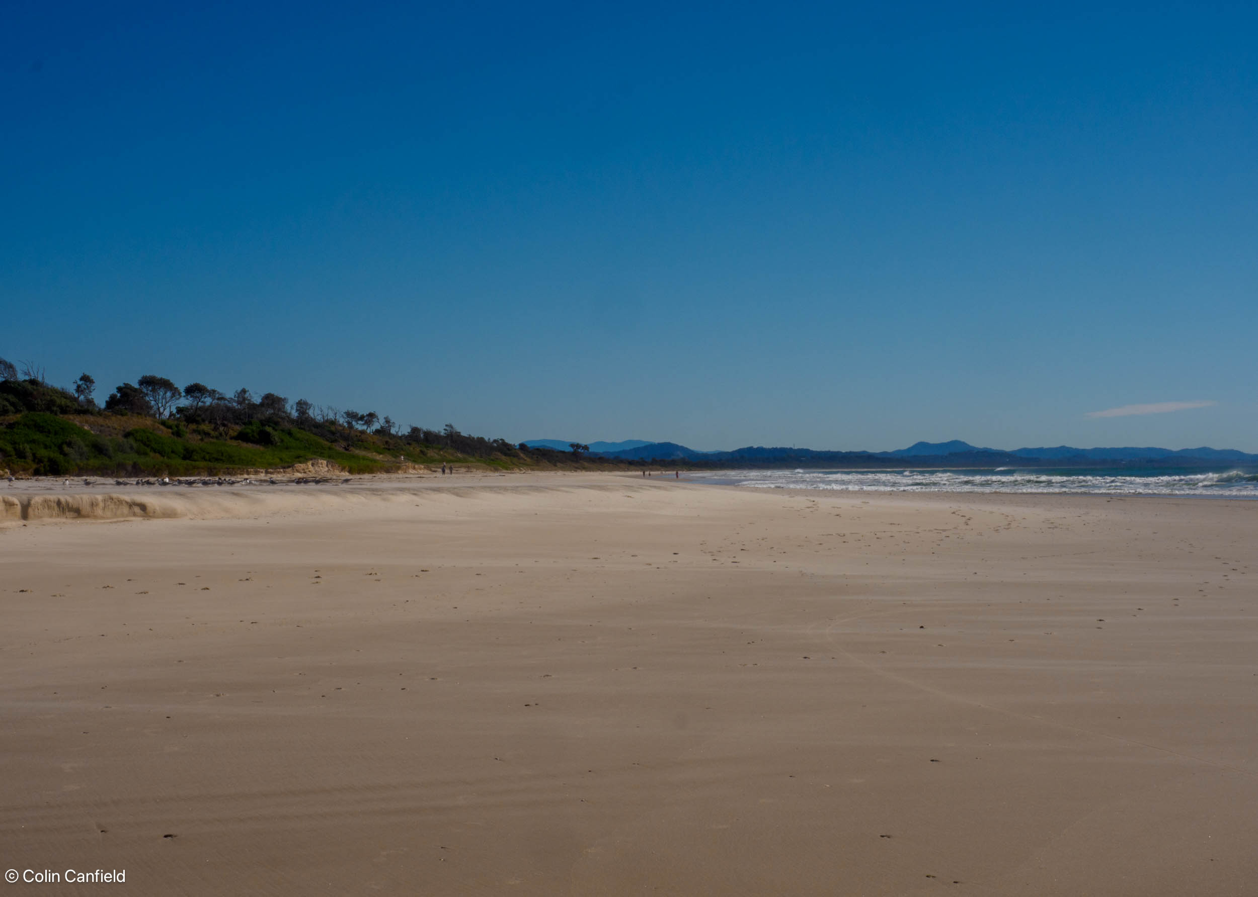Back North along Belongil