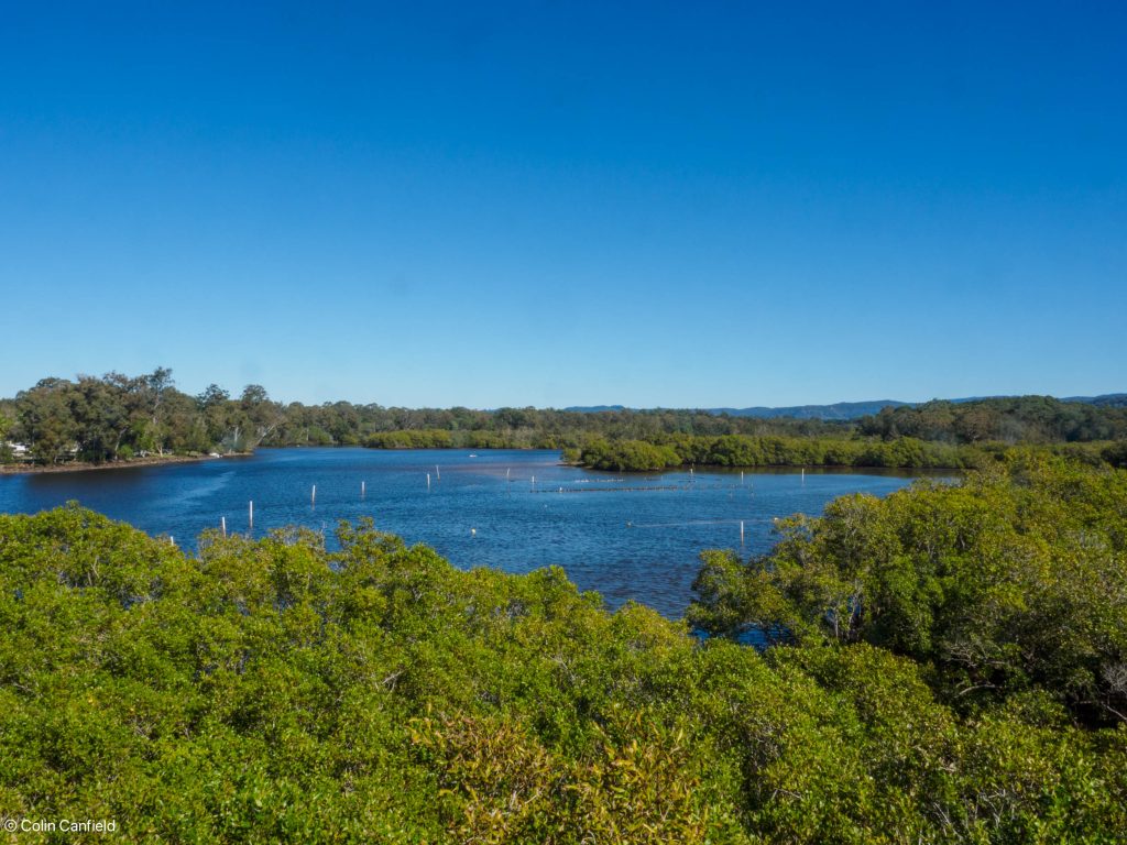 Oyster plots and Paddleboards