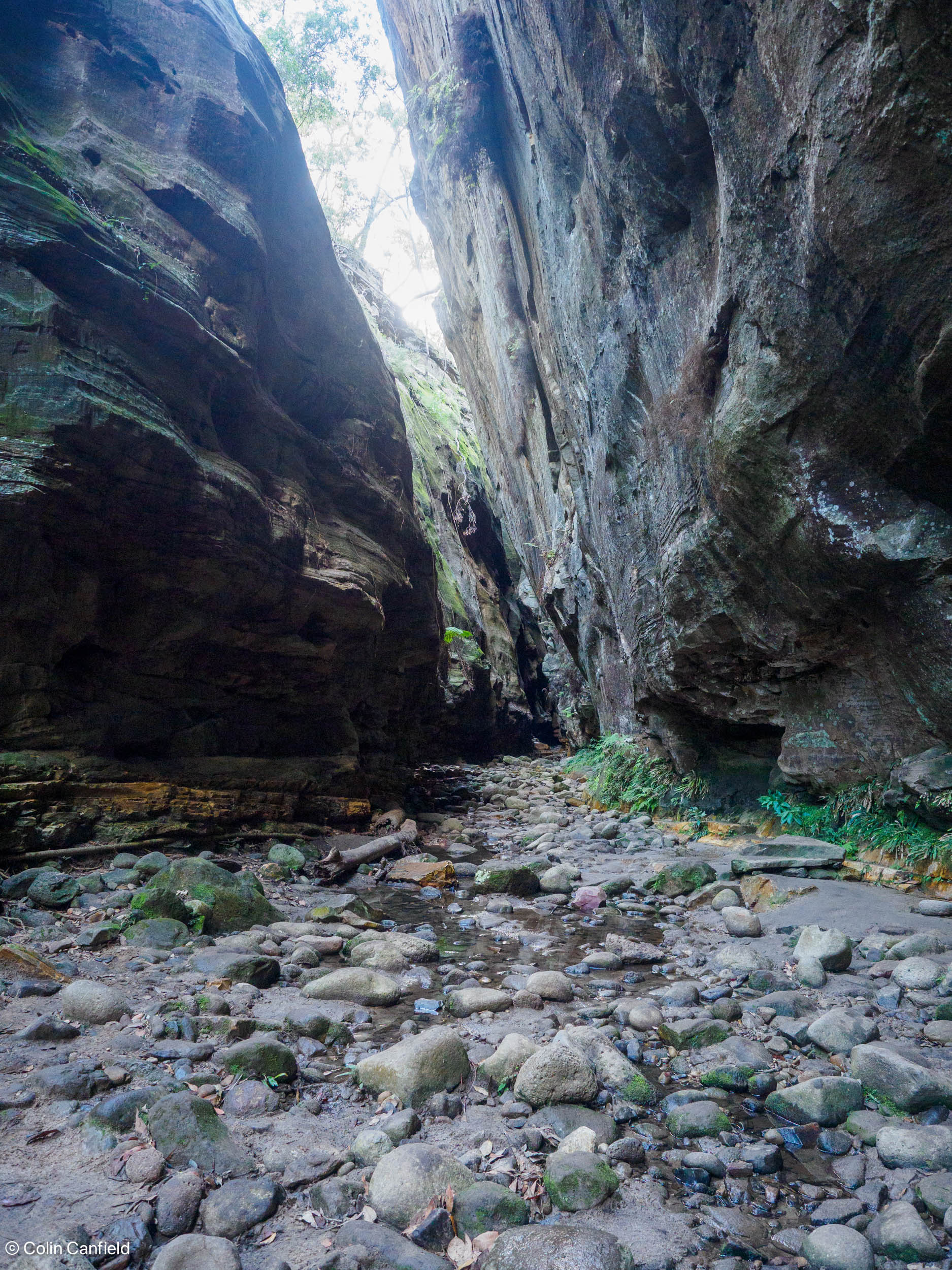 An old riverbed