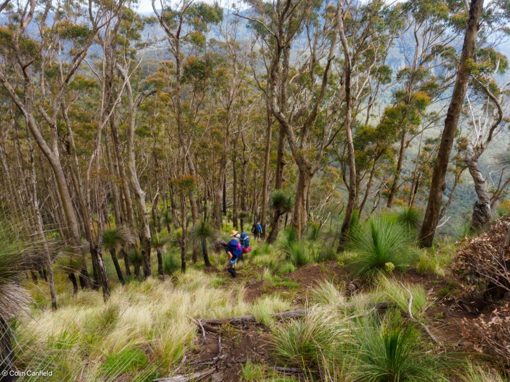 Hard to tell just how steep it is