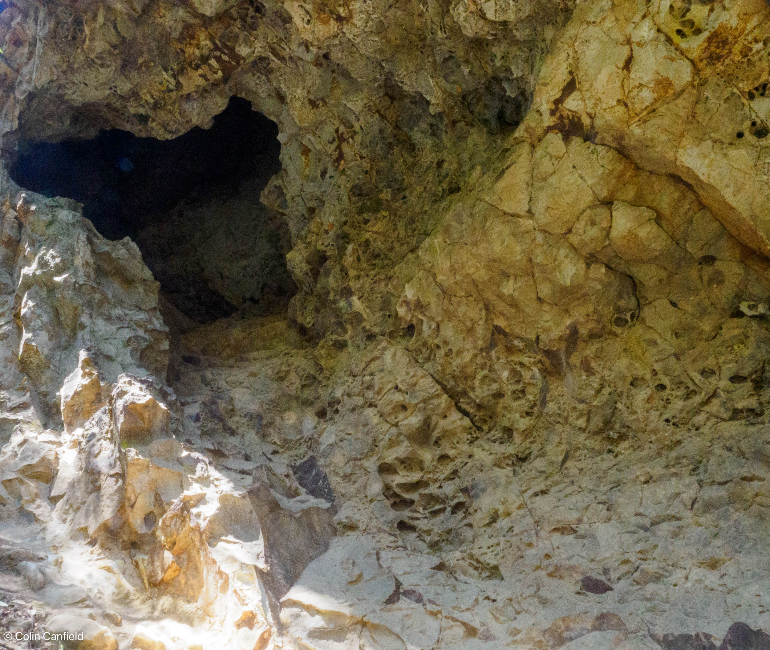 An interesting cave with way too many spiders!