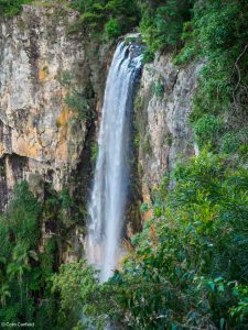 Read more about the article Springbrook After the Floods