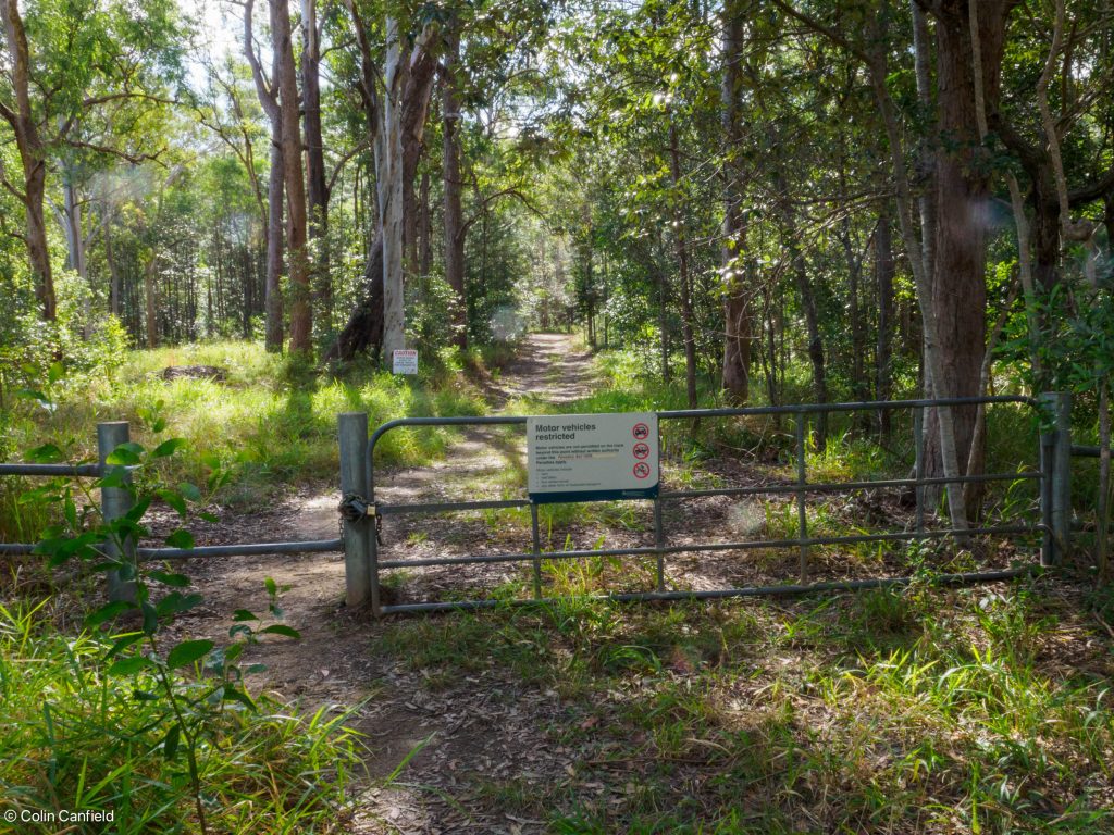 Beautiful green trails