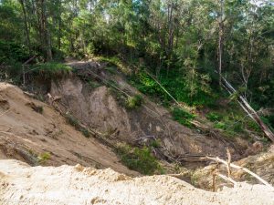 Read more about the article Caboolture to Wamuran Rail Trail – Where did the road go?