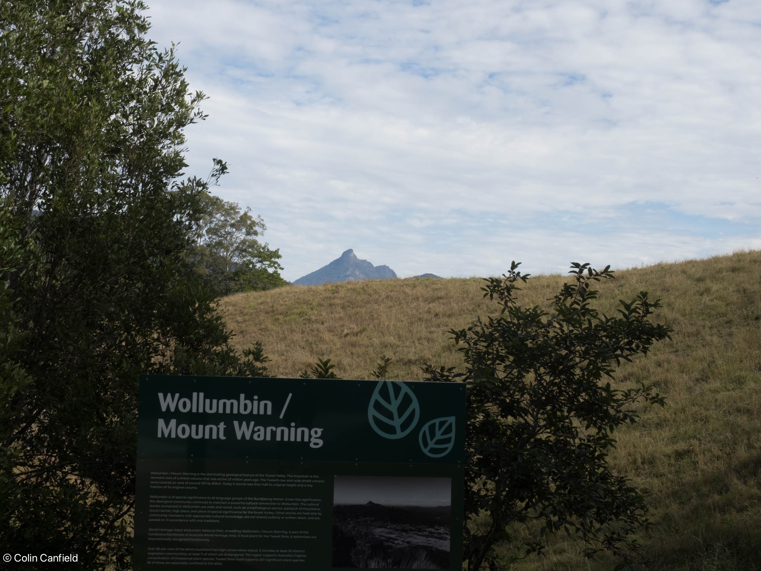 Mount Warning in the distance