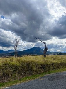 Read more about the article Mount Barney from the bike.