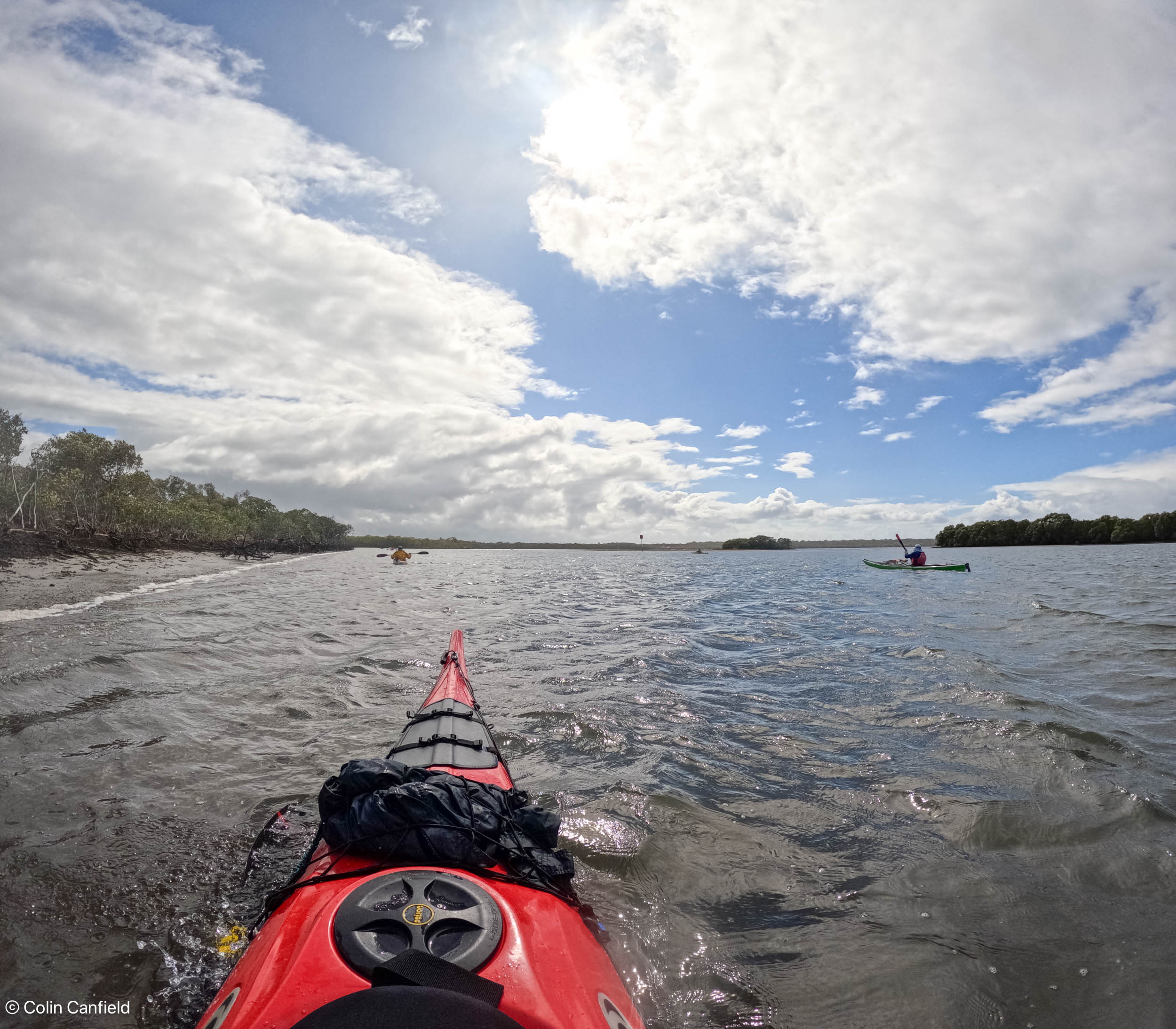 Paddling along the mangroves from Coomera