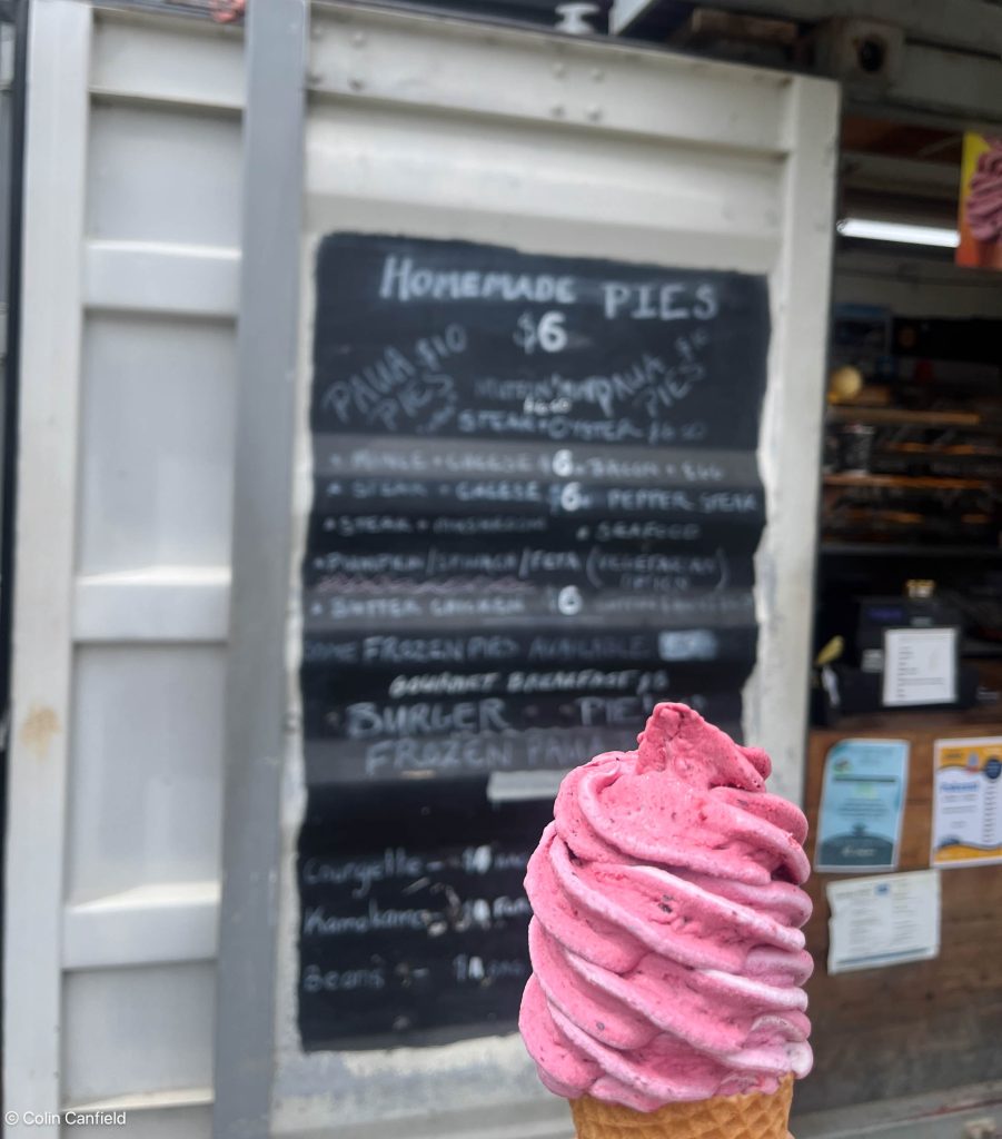 FIrst taste of NZ's Fruit IceCream - yum!