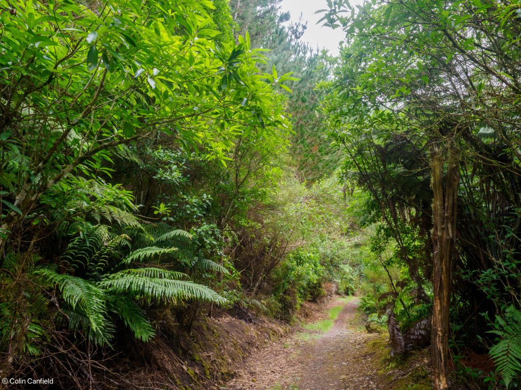 A beatiful track in places