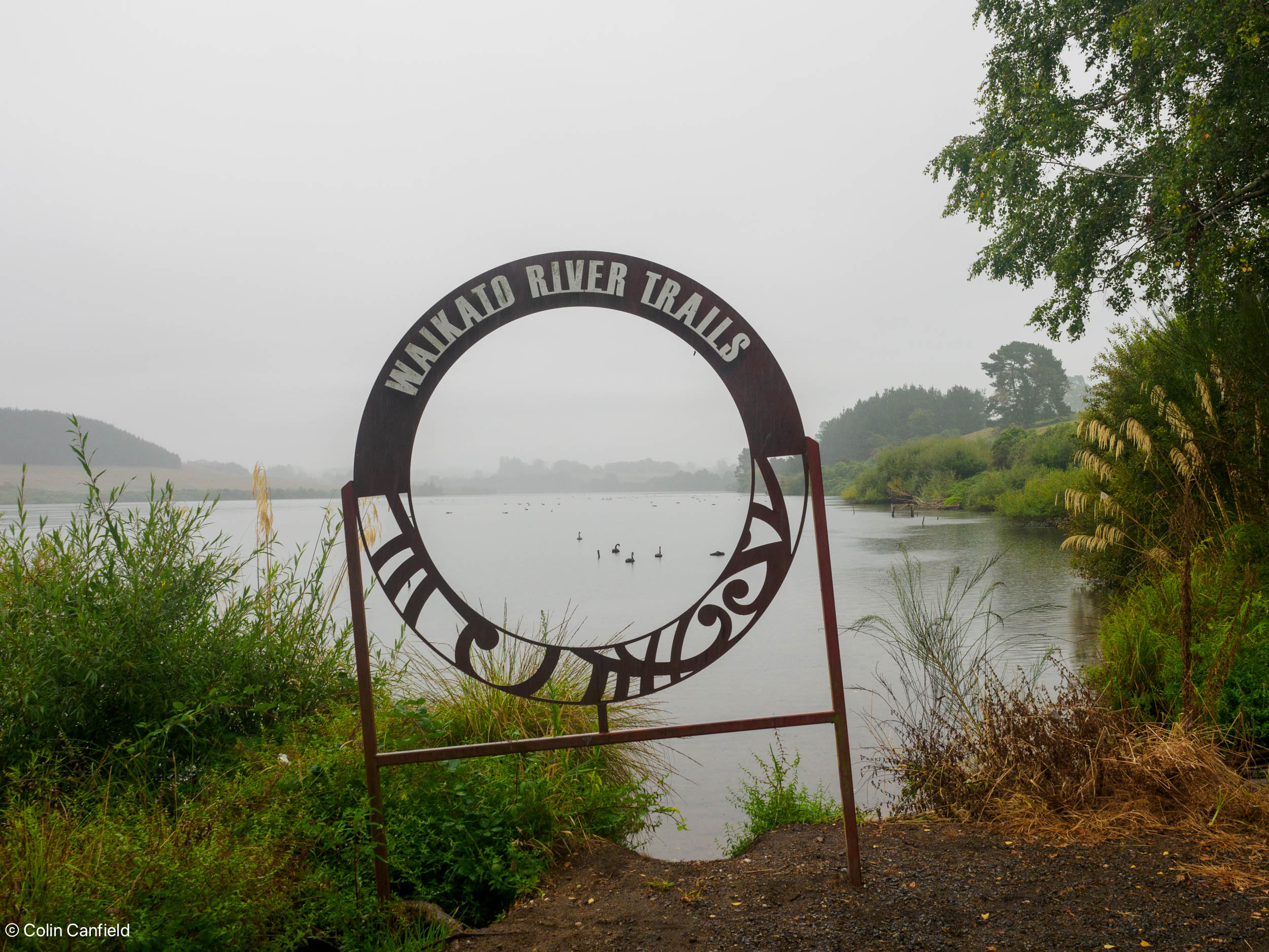 Waikato River Trail - Singletrack