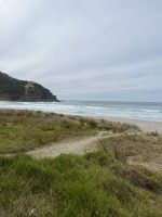Tour Aotearoa – the start line