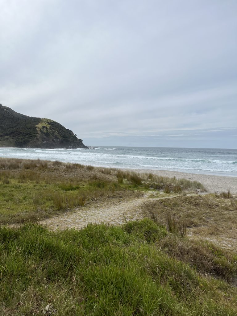 Tour Aotearoa – the start line
