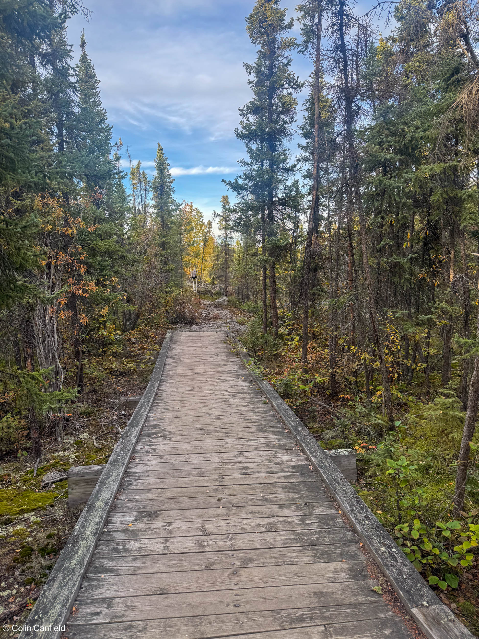 Trail run around the lake