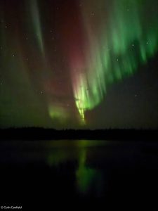 Read more about the article Aurora